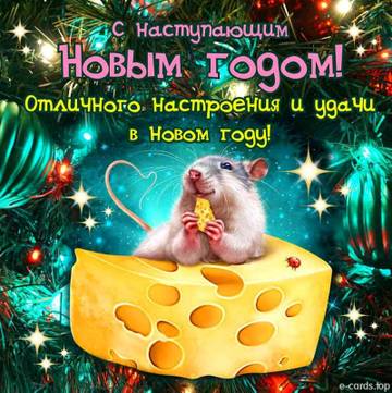 http://upforme.ru/uploads/0015/f8/d0/237/t72905.jpg