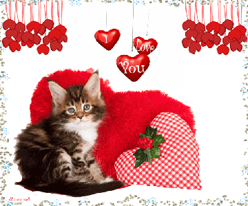 http://upforme.ru/uploads/0015/f8/d0/237/t90330.gif