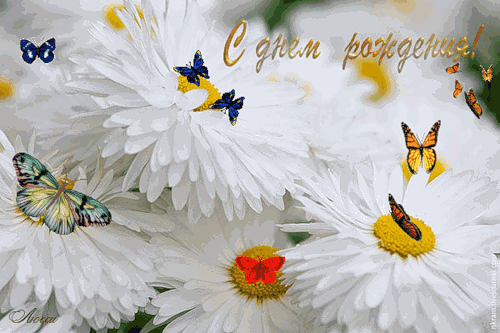 http://upforme.ru/uploads/0015/f8/d0/35/t12283.gif