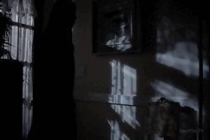 http://upforme.ru/uploads/0015/f8/d0/35/t997877.gif