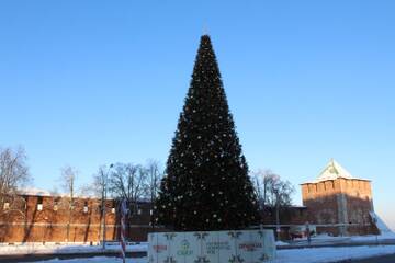 http://upforme.ru/uploads/0015/f8/d0/49/t200624.jpg
