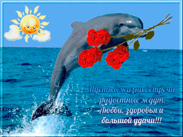 http://upforme.ru/uploads/0015/f8/d0/49/t263803.gif