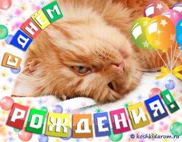 http://upforme.ru/uploads/0015/f8/d0/49/t29741.jpg