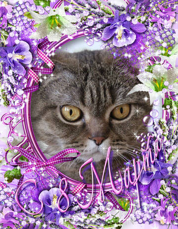 http://upforme.ru/uploads/0015/f8/d0/49/t310205.jpg