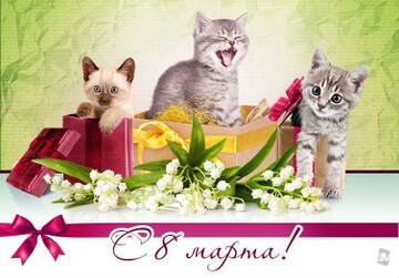 http://upforme.ru/uploads/0015/f8/d0/49/t597351.jpg