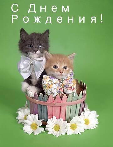 http://upforme.ru/uploads/0015/f8/d0/49/t921807.jpg