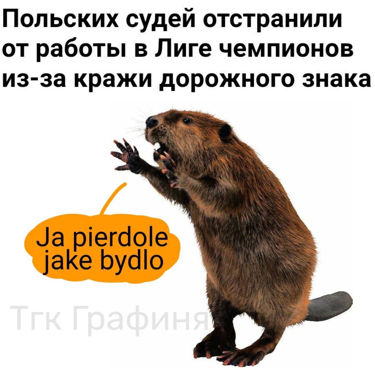 http://upforme.ru/uploads/0016/23/16/18/214715.jpg