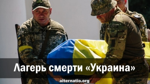 http://upforme.ru/uploads/0016/23/16/18/609079.png