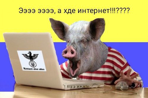 http://upforme.ru/uploads/0016/23/16/18/742364.jpg