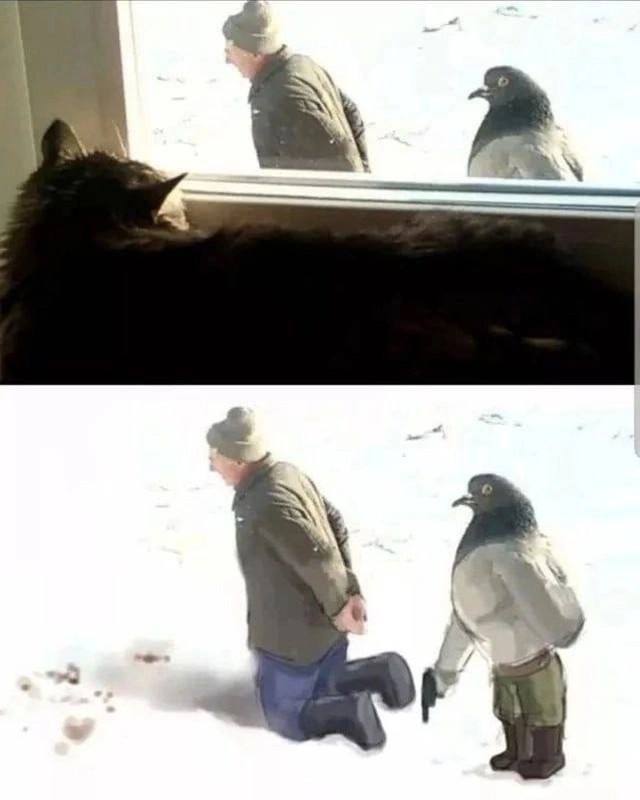 http://upforme.ru/uploads/0016/23/16/18/949176.jpg