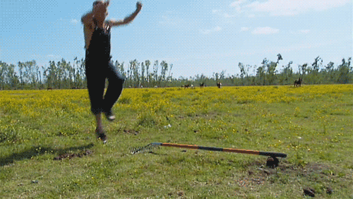 http://upforme.ru/uploads/0016/23/c6/21/664823.gif
