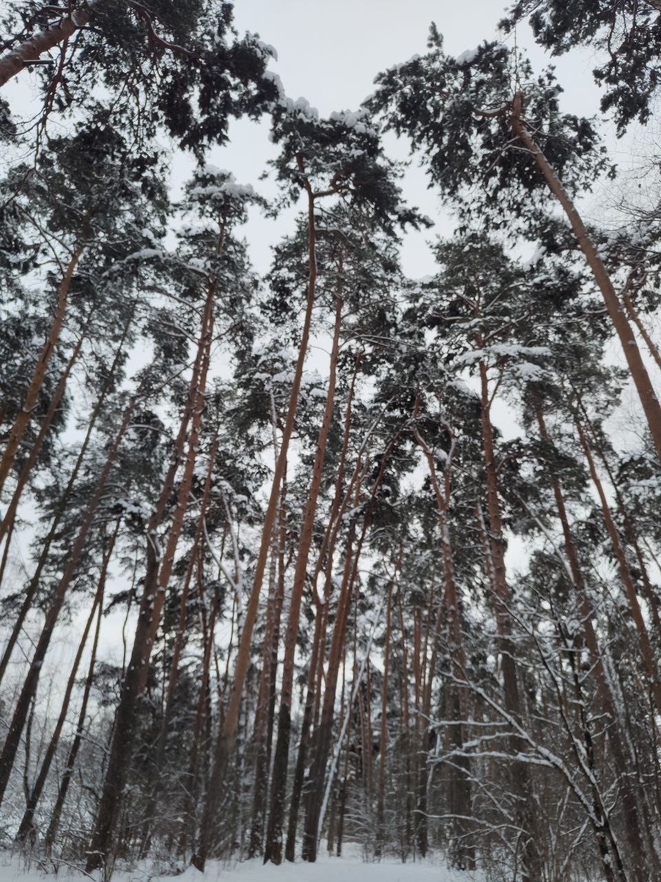 � ��� � ���? (����� 6)