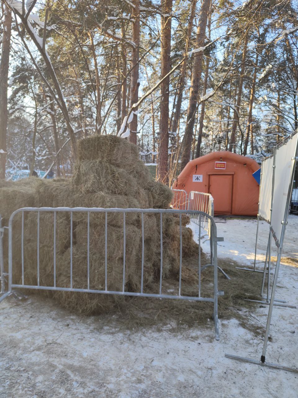 � ��� � ���? (����� 6)