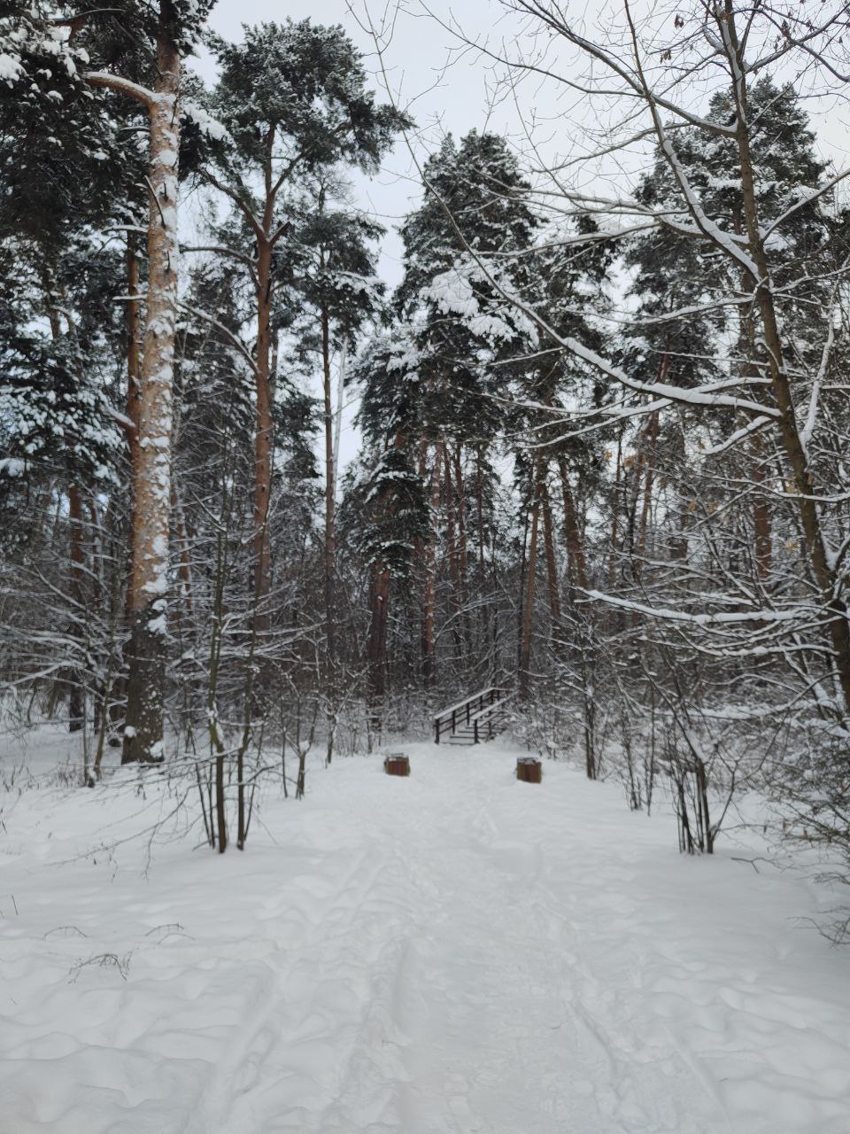 � ��� � ���? (����� 6)