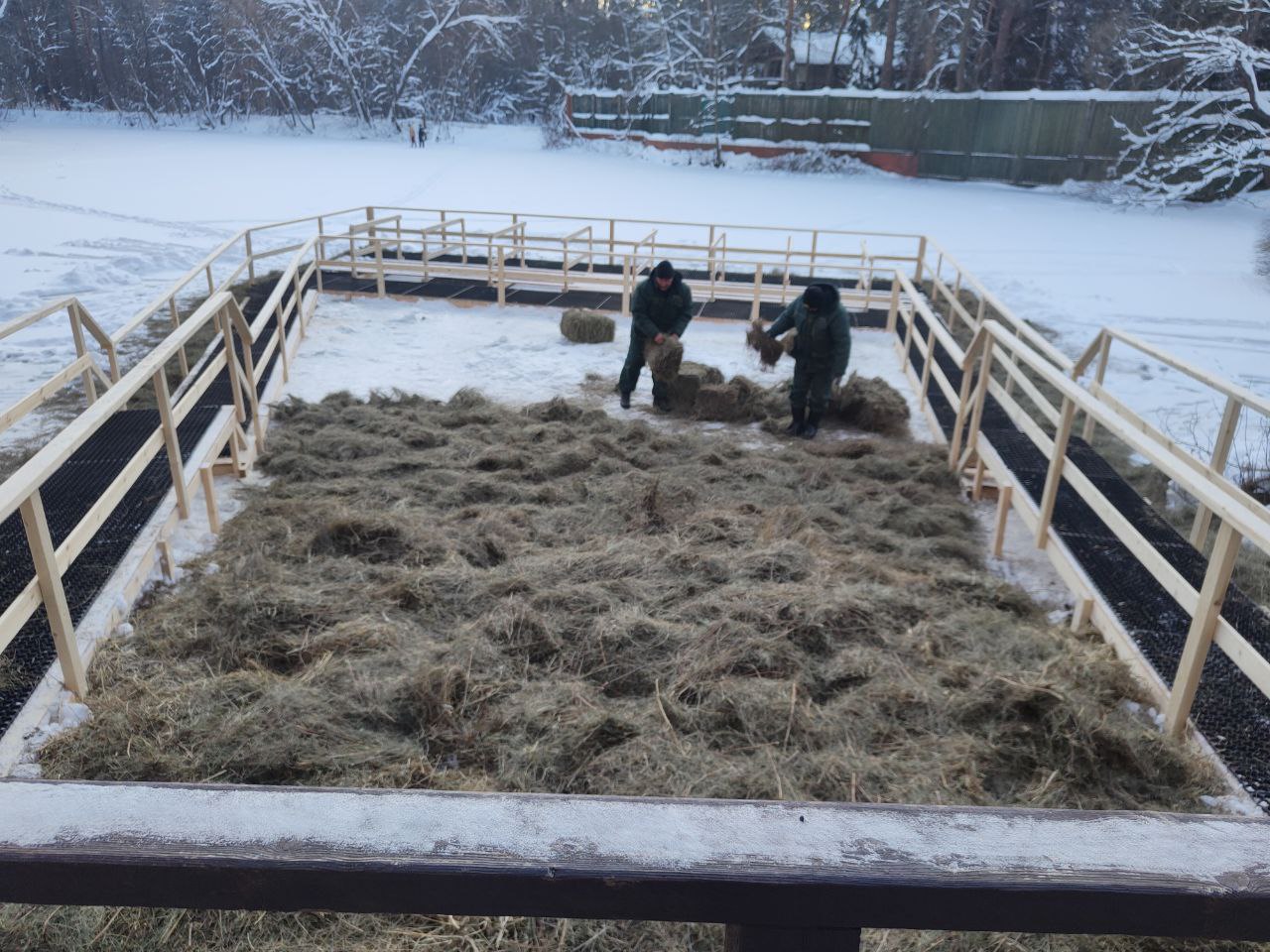 � ��� � ���? (����� 6)