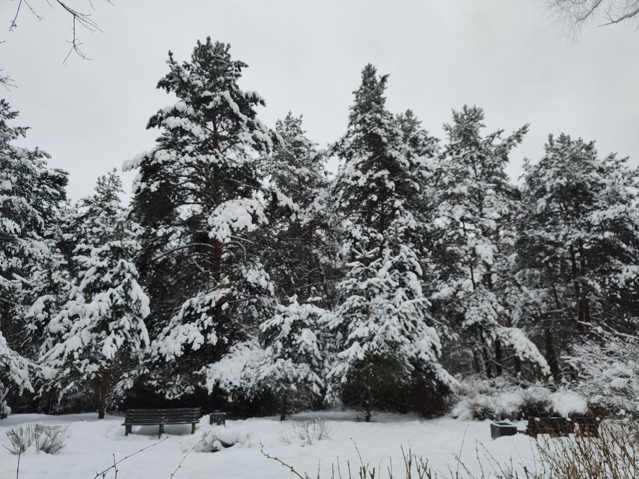 � ��� � ���? (����� 6)