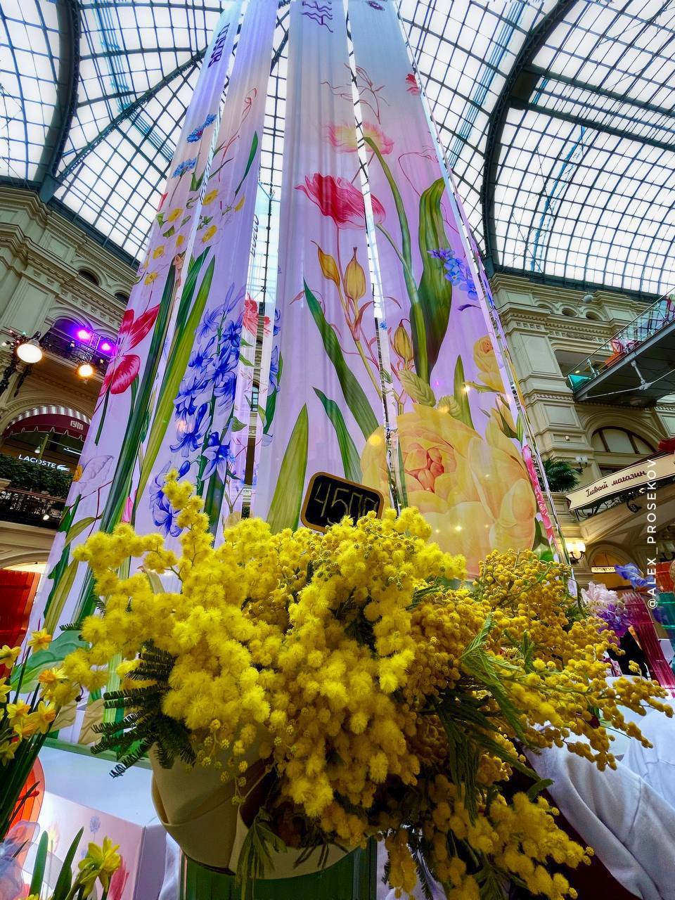 � ��� � ���? (����� 6)