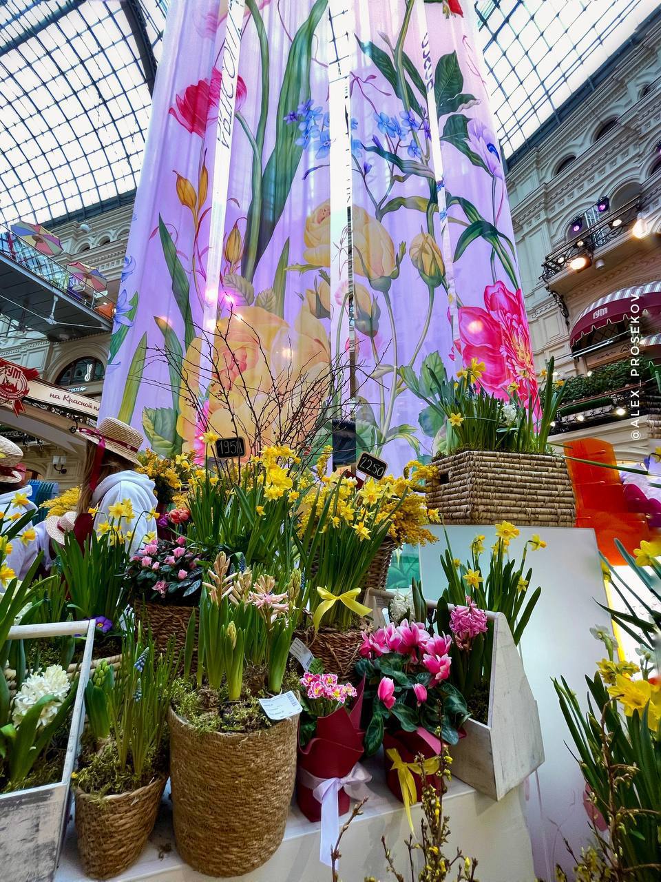 � ��� � ���? (����� 6)