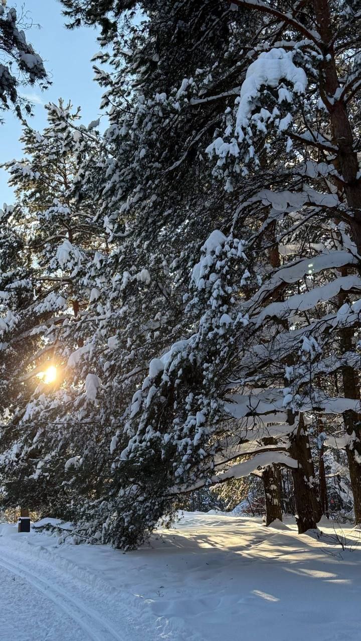 � ��� � ���? (����� 6)