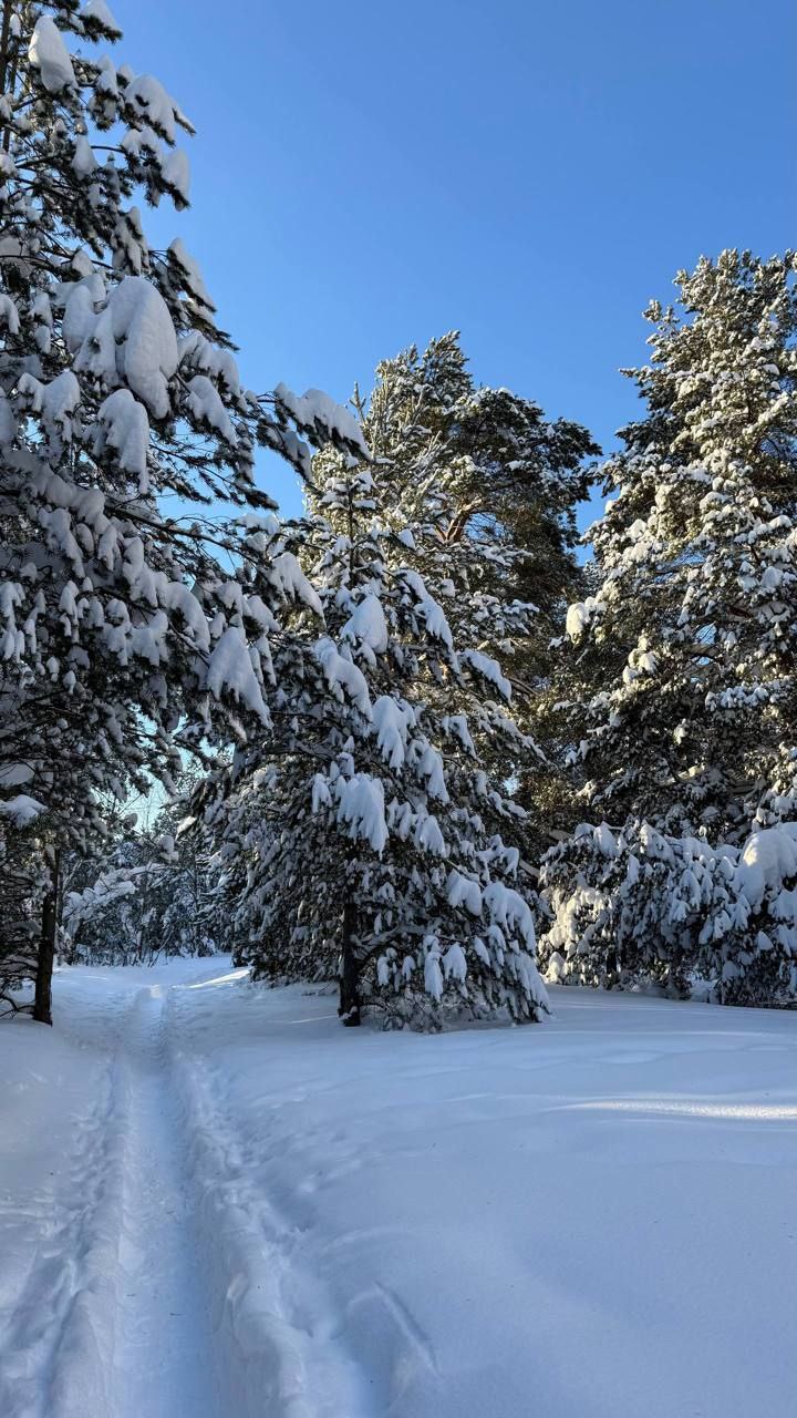 � ��� � ���? (����� 6)