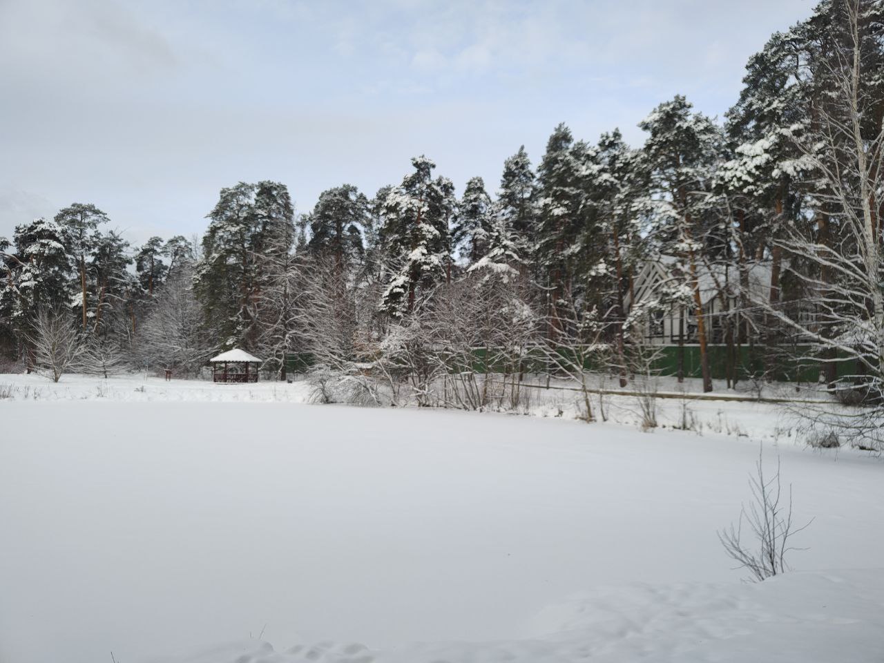 � ��� � ���? (����� 6)