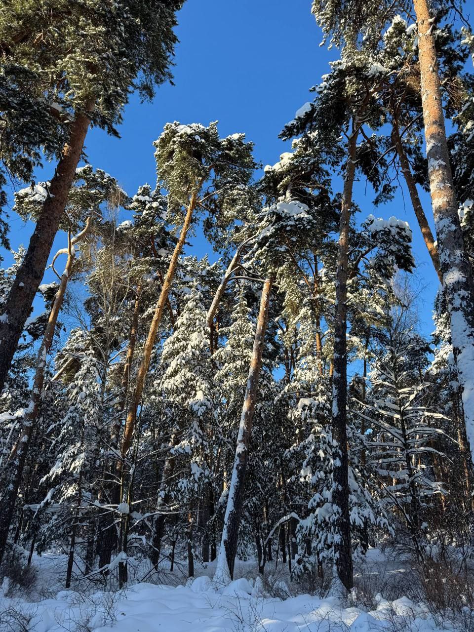 � ��� � ���? (����� 6)