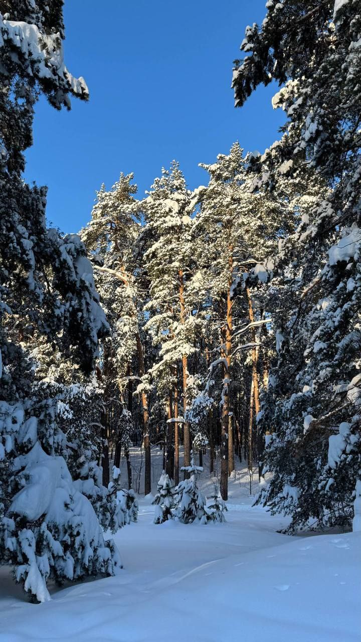 � ��� � ���? (����� 6)