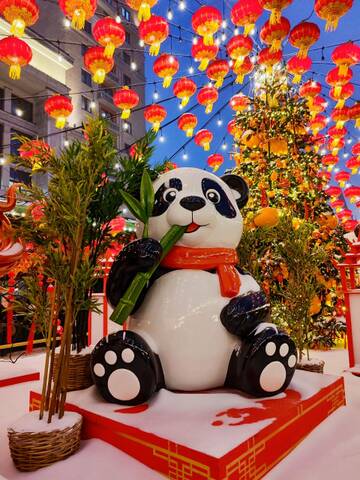 � ��� � ���? (����� 6)