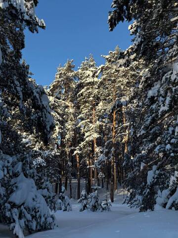 � ��� � ���? (����� 6)