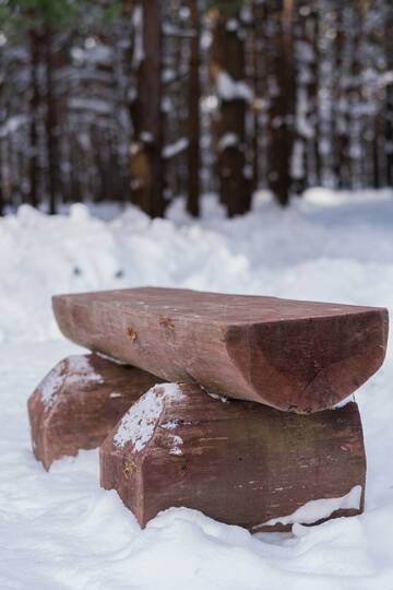 � ��� � ���? (����� 6)