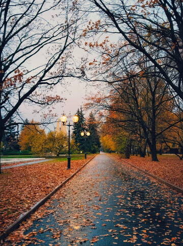 � ��� � ���? (����� 6)