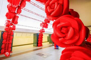 � ��� � ���? (����� 6)