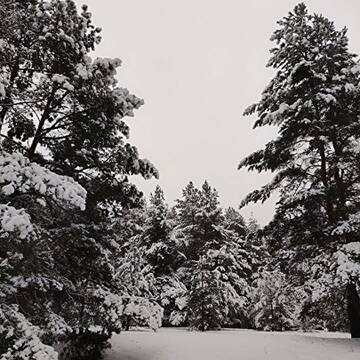 � ��� � ���? (����� 6)