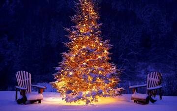 � ��� � ���? (����� 6)