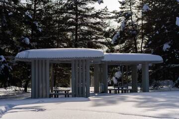 � ��� � ���? (����� 6)