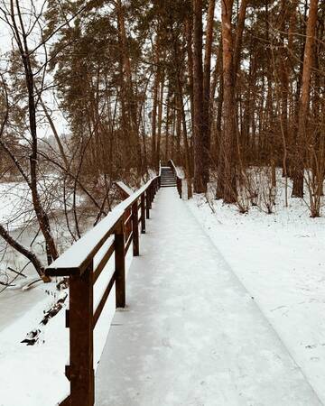 � ��� � ���? (����� 6)