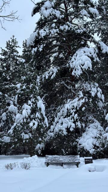 � ��� � ���? (����� 6)