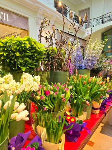 � ��� � ���? (����� 6)