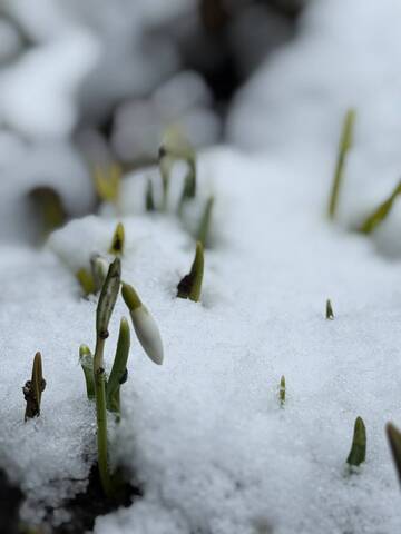 � ��� � ���? (����� 6)