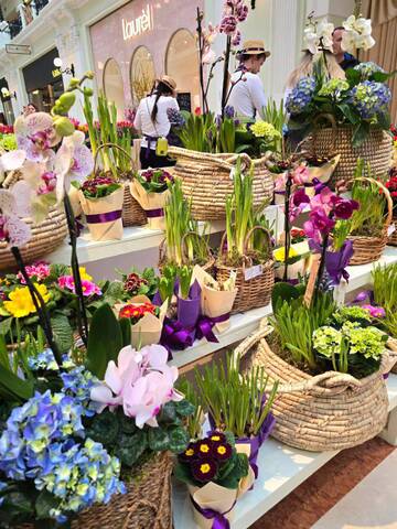 � ��� � ���? (����� 6)