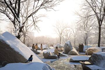 � ��� � ���? (����� 6)