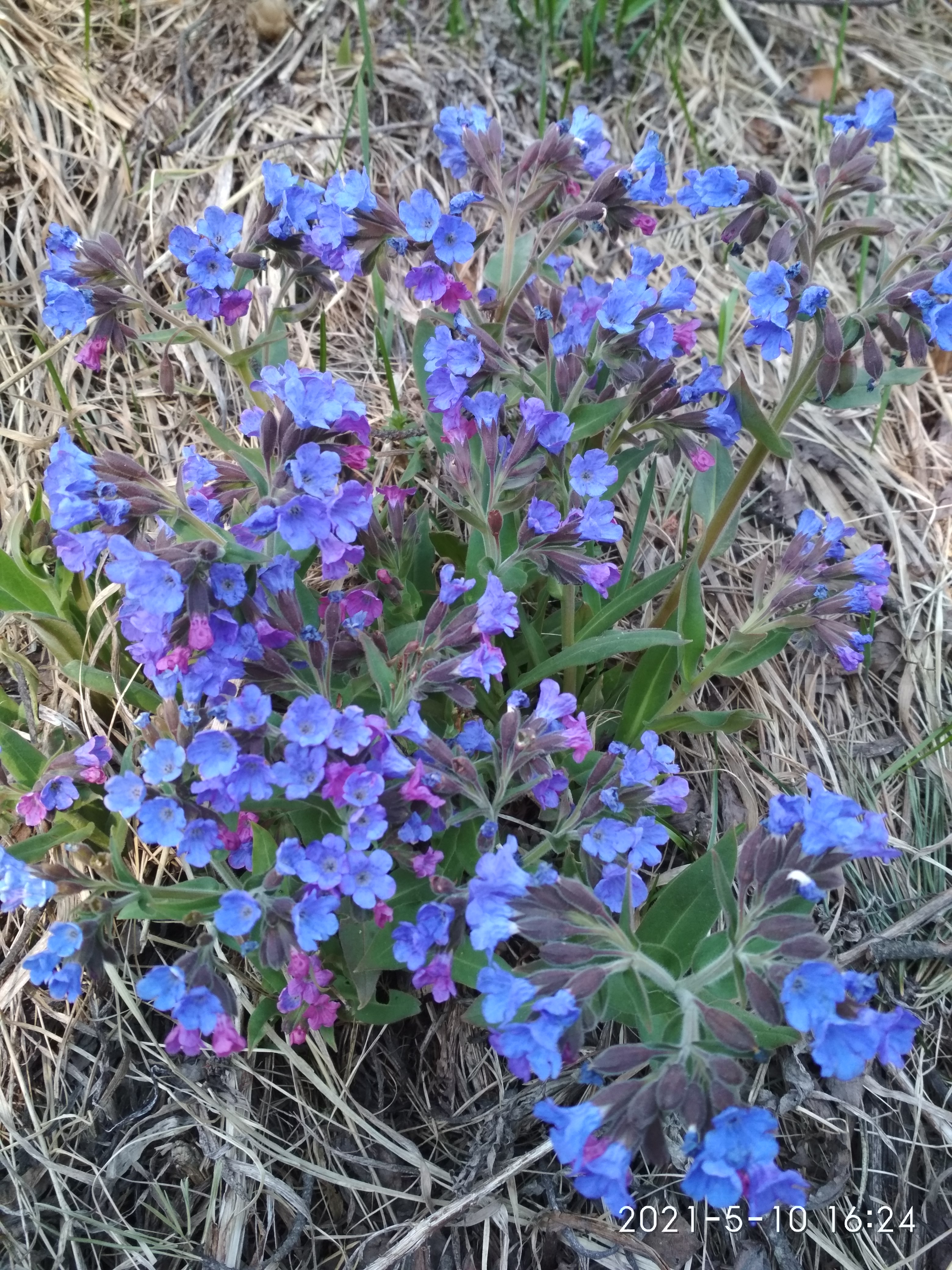    ? ( 5)