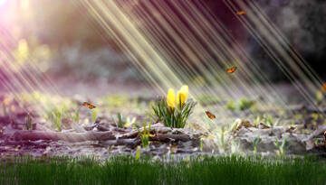 http://upforme.ru/uploads/0016/5f/70/5/t177561.jpg