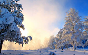 http://upforme.ru/uploads/0016/5f/70/5/t350566.jpg