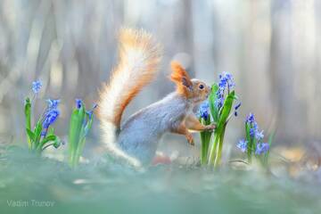http://upforme.ru/uploads/0016/5f/70/5/t411000.jpg