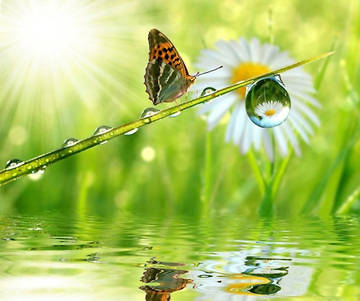 http://upforme.ru/uploads/0016/5f/70/5/t47110.jpg