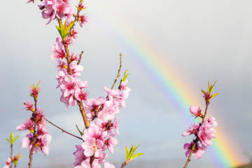 http://upforme.ru/uploads/0016/5f/70/5/t54196.jpg
