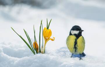 http://upforme.ru/uploads/0016/5f/70/5/t737147.jpg