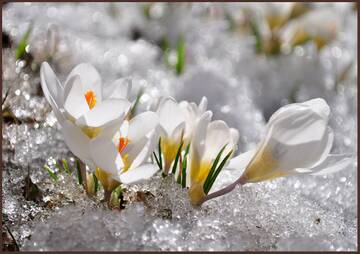 http://upforme.ru/uploads/0016/5f/70/5/t836488.jpg