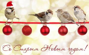 http://upforme.ru/uploads/0016/5f/70/5/t949782.jpg
